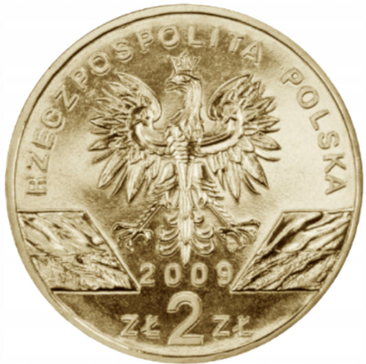 2 ZŁ Jaszczurka zielona 2009